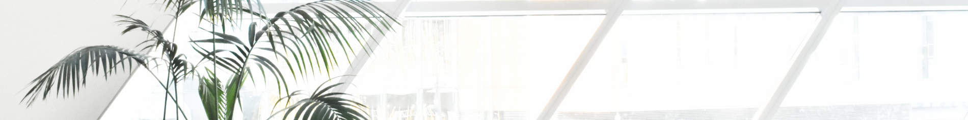 Auto generated site provide services