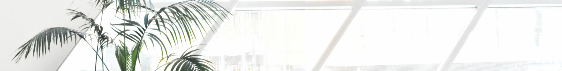 Auto generated site provide services