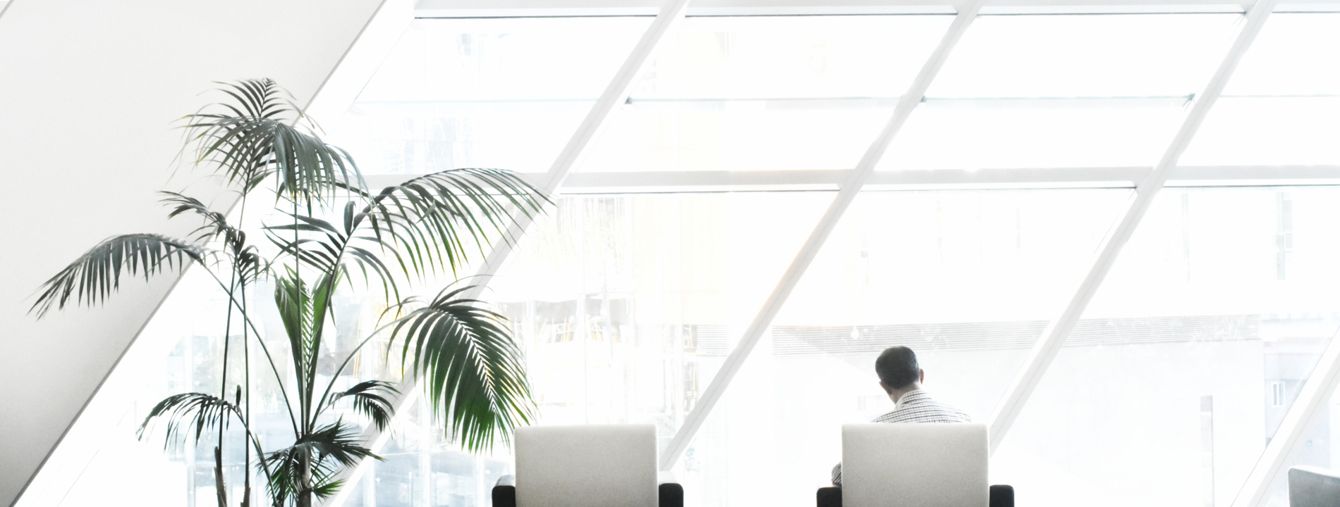 Auto generated site provide services