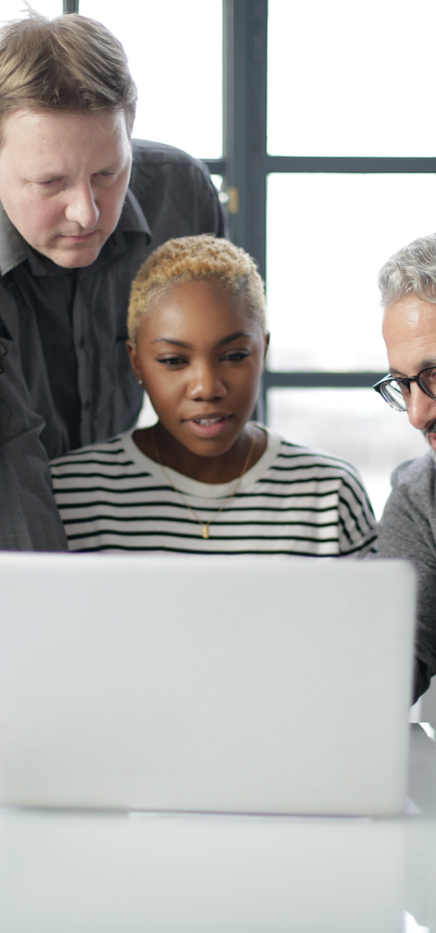 Auto generated site provide services